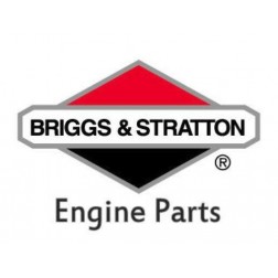 Briggs & Stratton 15.5 HP Cylinder Block # 794087